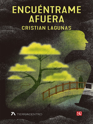 cover image of Encuéntrame afuera